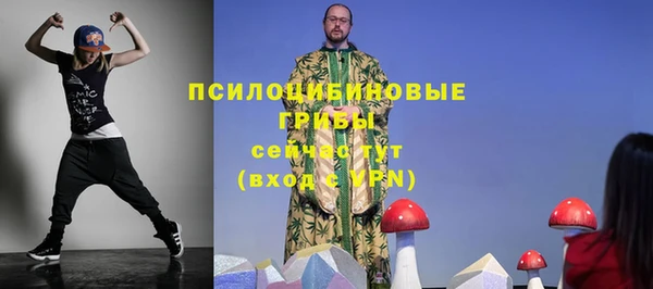 стаф Богданович