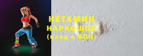 стаф Богданович