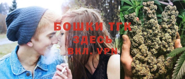 дмт Бородино
