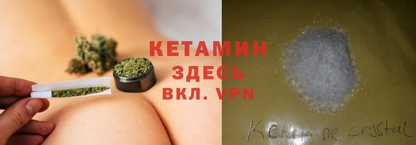 дживик Пересвет