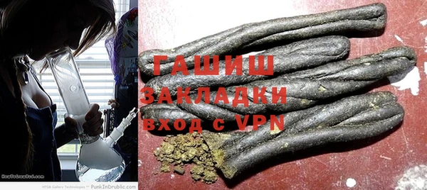 дмт Бородино