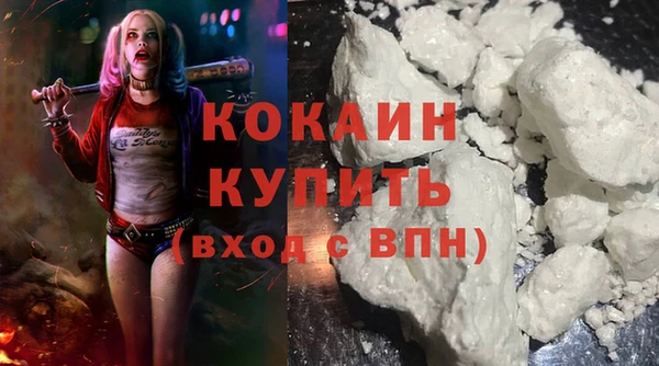 дживик Пересвет