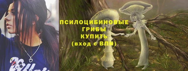 Альфа ПВП Бронницы