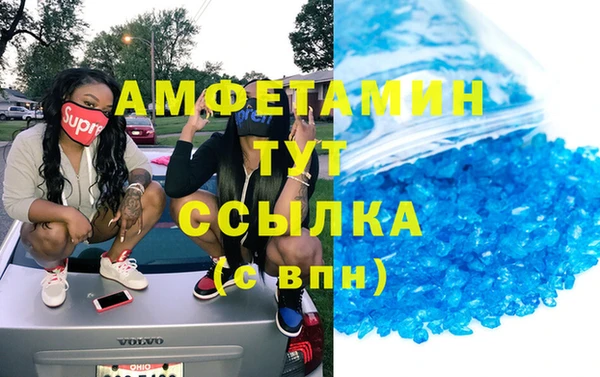 стаф Богданович