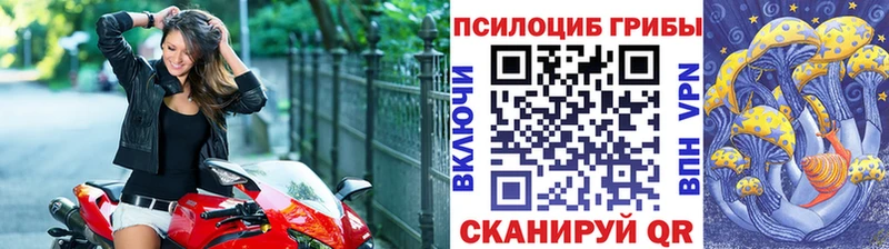 Псилоцибиновые грибы MAGIC MUSHROOMS  наркошоп  Тогучин 